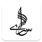 Logo of Saarey Music android Application 